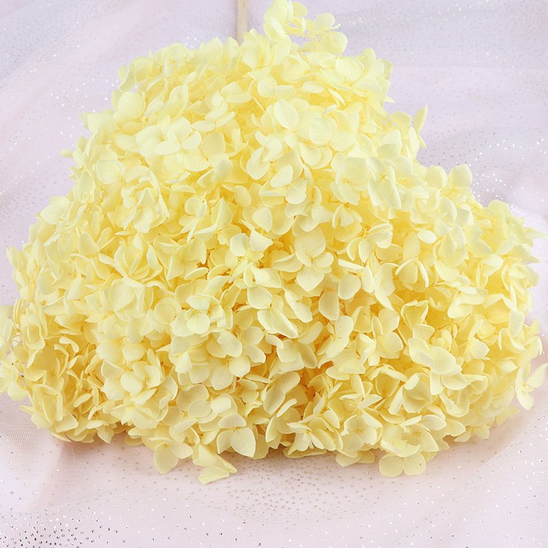 Ychon Handmade Preserved flowers hydrangeas DIY photography props Floral hydrangeas flowers artificial wedding
