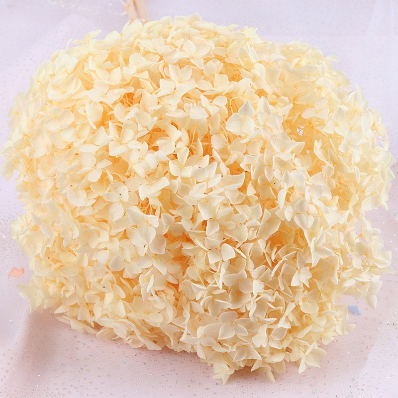 Ychon Handmade Preserved flowers hydrangeas DIY photography props Floral hydrangeas flowers artificial wedding