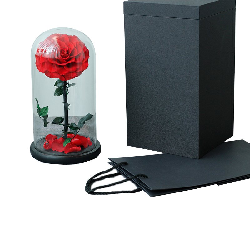Gifts Long Stem Eternal Rose Preserved Real Fresh Nature Love Forever Preserved Flower in Glass Dome Preserved Rose wholesale