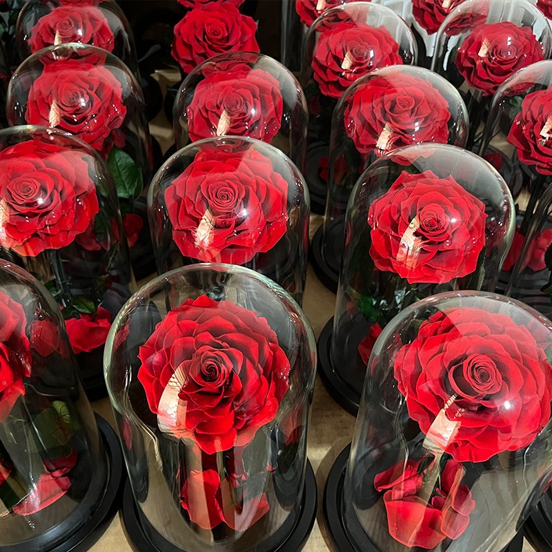 Gifts Long Stem Eternal Rose Preserved Real Fresh Nature Love Forever Preserved Flower in Glass Dome Preserved Rose wholesale