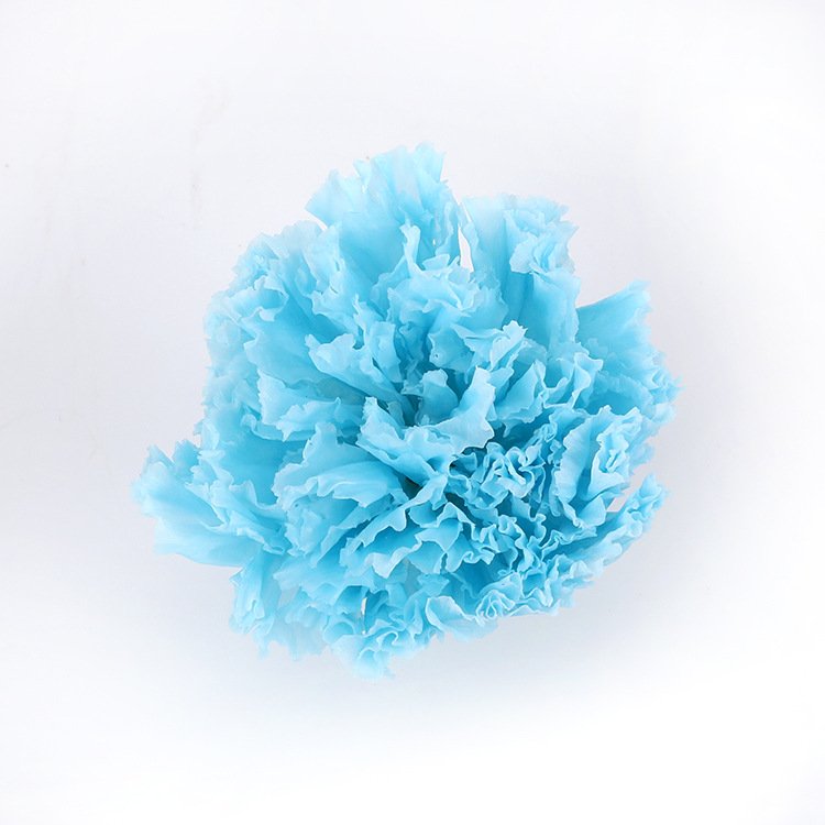 New coming carnation soap flor bouquet gift box Preserved Flowers Rose Head