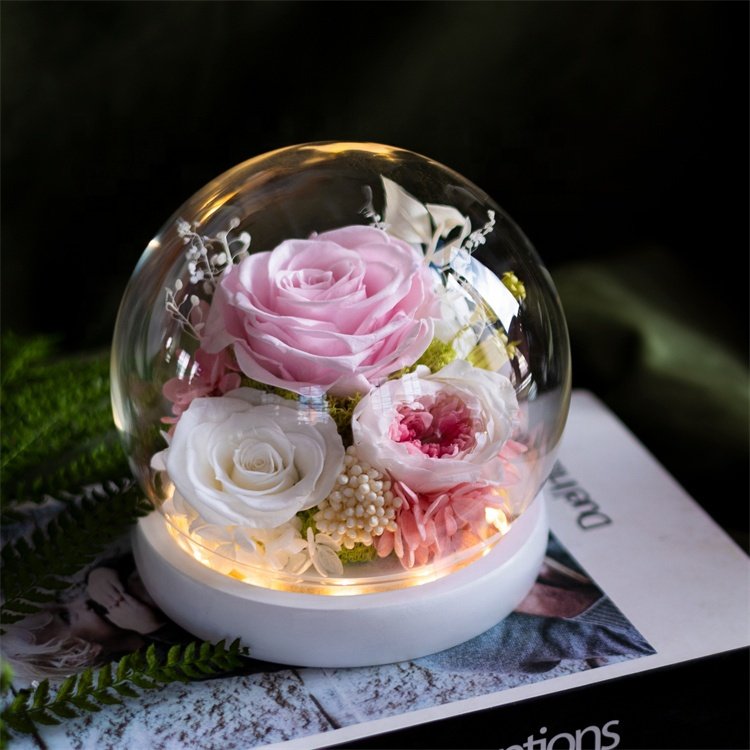 New Arrival Valentine's Day Womens Gift Preserved Forever Roses Eternal Real Flower With Led Light In Gass Dome