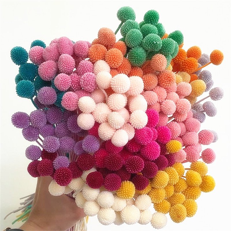 Yunnan 2023 most popular preserved craspedia Billy Ball Billy Button Decorative Flowers for Home Decoration