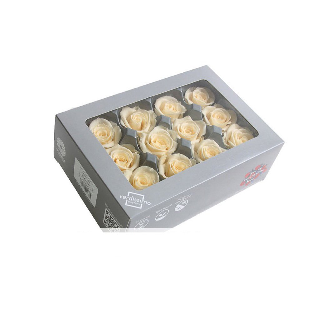 Most Selling Luxury Stabilized White Rose Beautiful Natural Rose Available At Custom Size