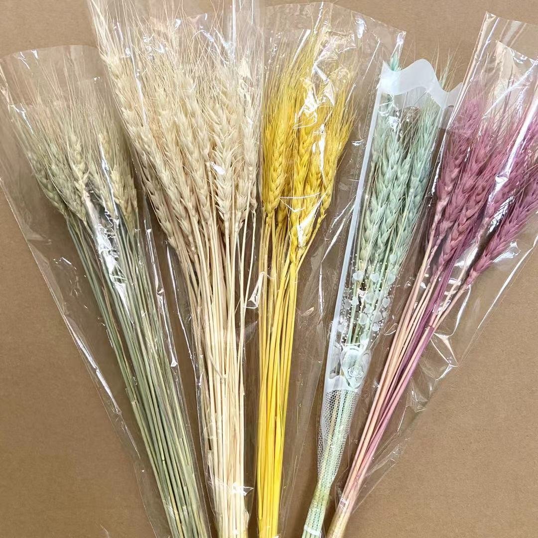 Sumflora 100 Days Party Novelty Forever Long Lasting Eternal Flower Preserved Flower Glass Dome Gifts Dry Flowers Wheat