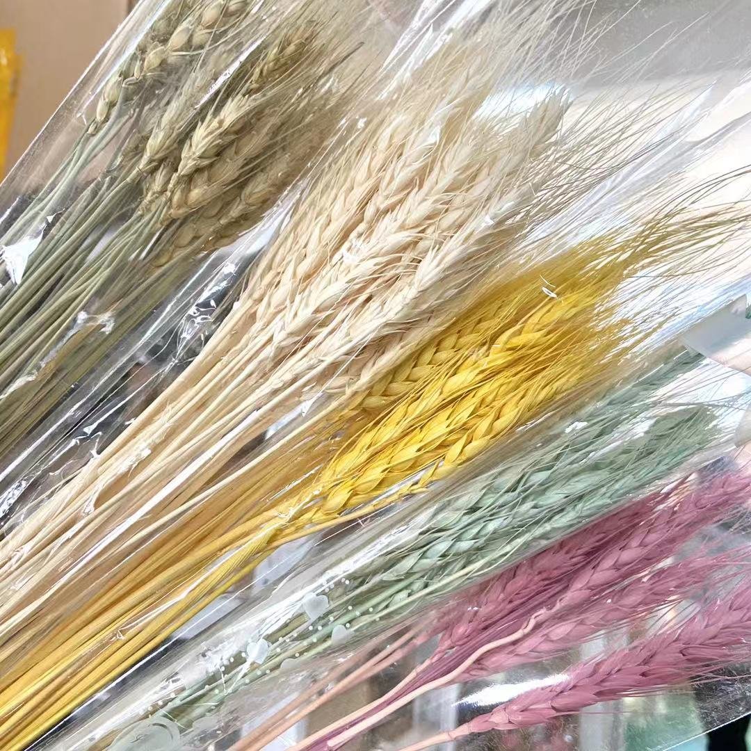 Sumflora 100 Days Party Novelty Forever Long Lasting Eternal Flower Preserved Flower Glass Dome Gifts Dry Flowers Wheat