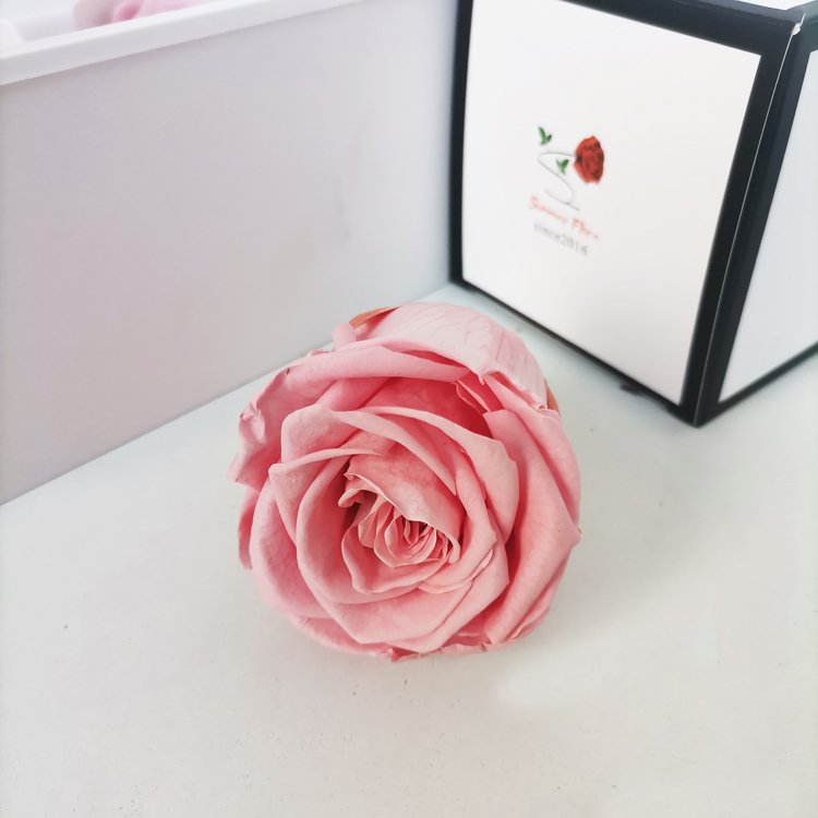 2024 Hot sale Natural preserved long lasting flowers Preserved roses for valentine's day