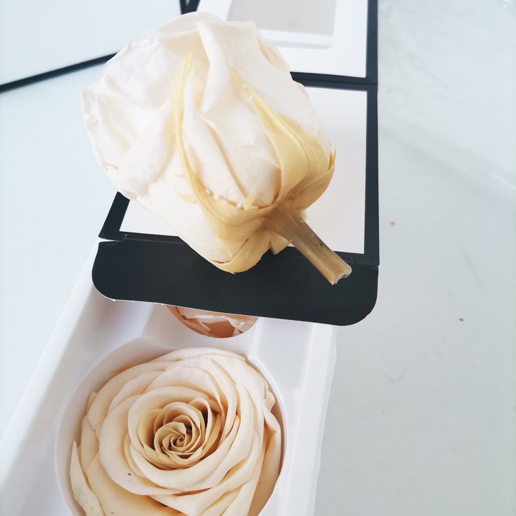 2024 Hot sale Natural preserved long lasting flowers Preserved roses for valentine's day