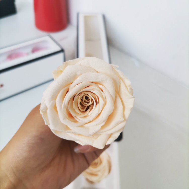 2024 Hot sale Natural preserved long lasting flowers Preserved roses for valentine's day