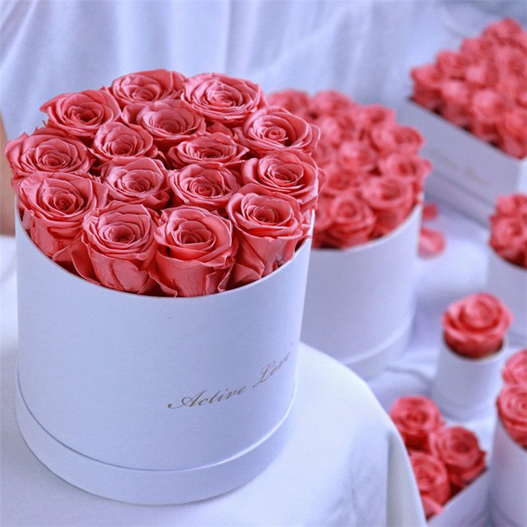QSLH-F317 2023 preserved roses real roses for valentine's day preserved flower preserved rose with gift box for valentine's day