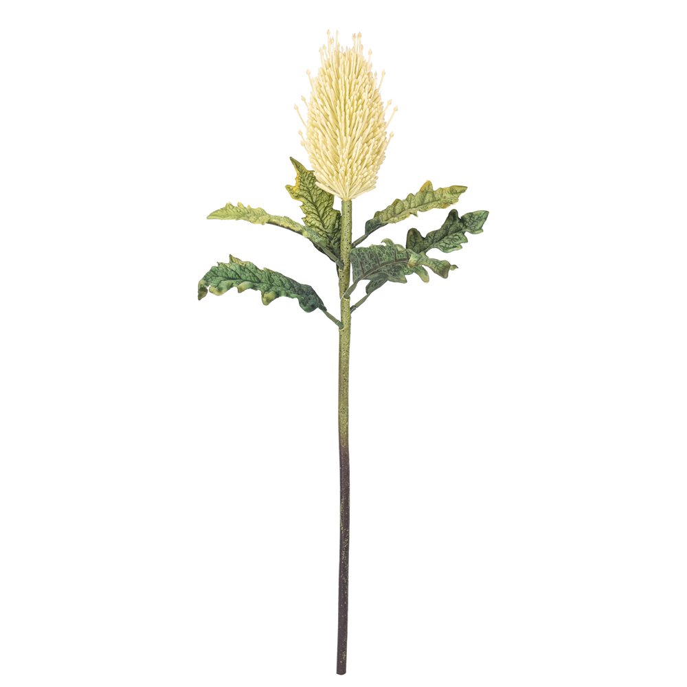 Professional factory custom tropical artificial preserved flowers banksia integrifolia GRS BEPI BSCI