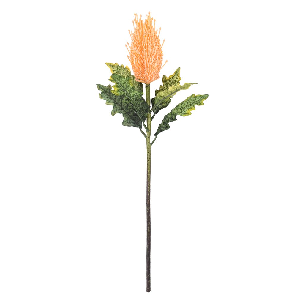 Professional factory custom tropical artificial preserved flowers banksia integrifolia GRS BEPI BSCI