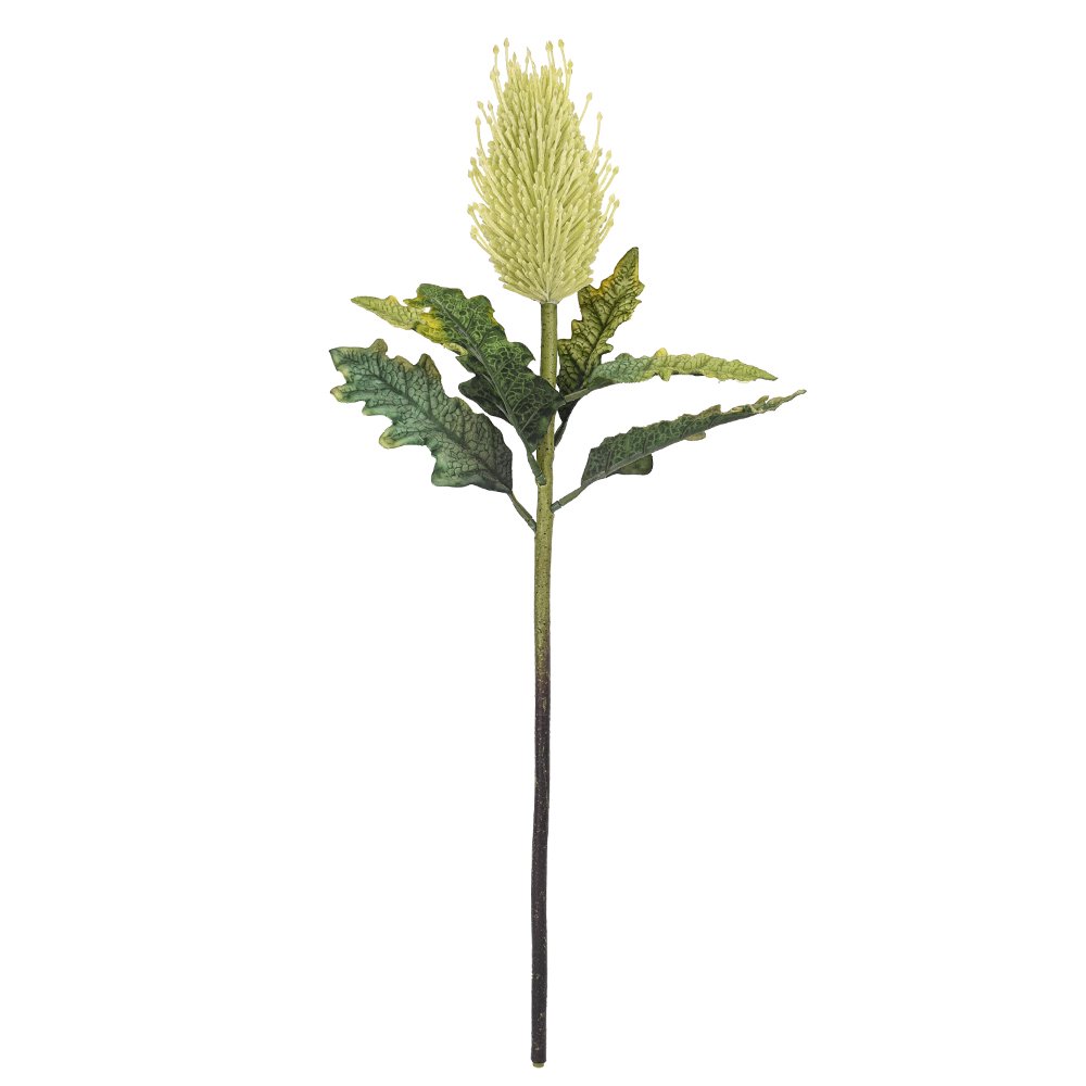 Professional factory custom tropical artificial preserved flowers banksia integrifolia GRS BEPI BSCI