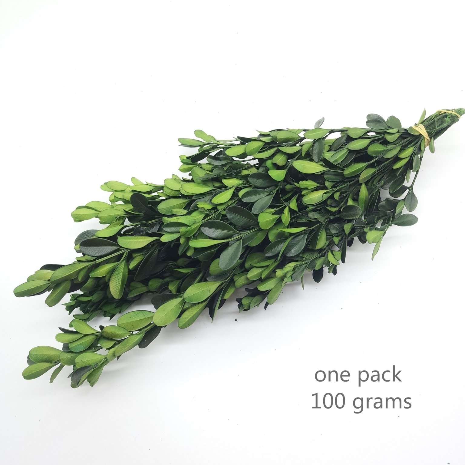Preserved natural green boxwood leaves small leaf flower for floral arrangement