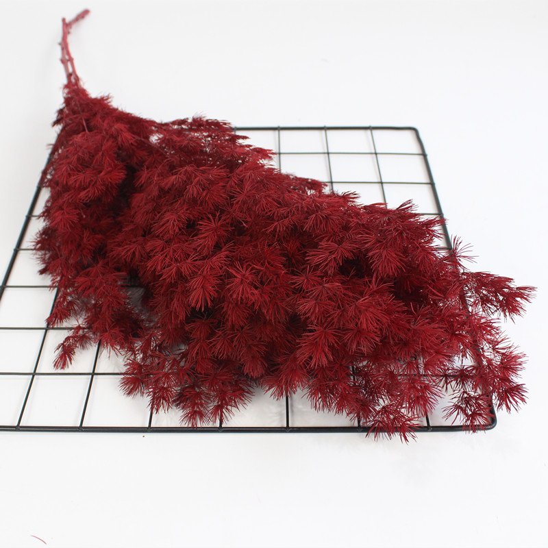 Australia permitted preserved Ming fern flower for vase flowers craft