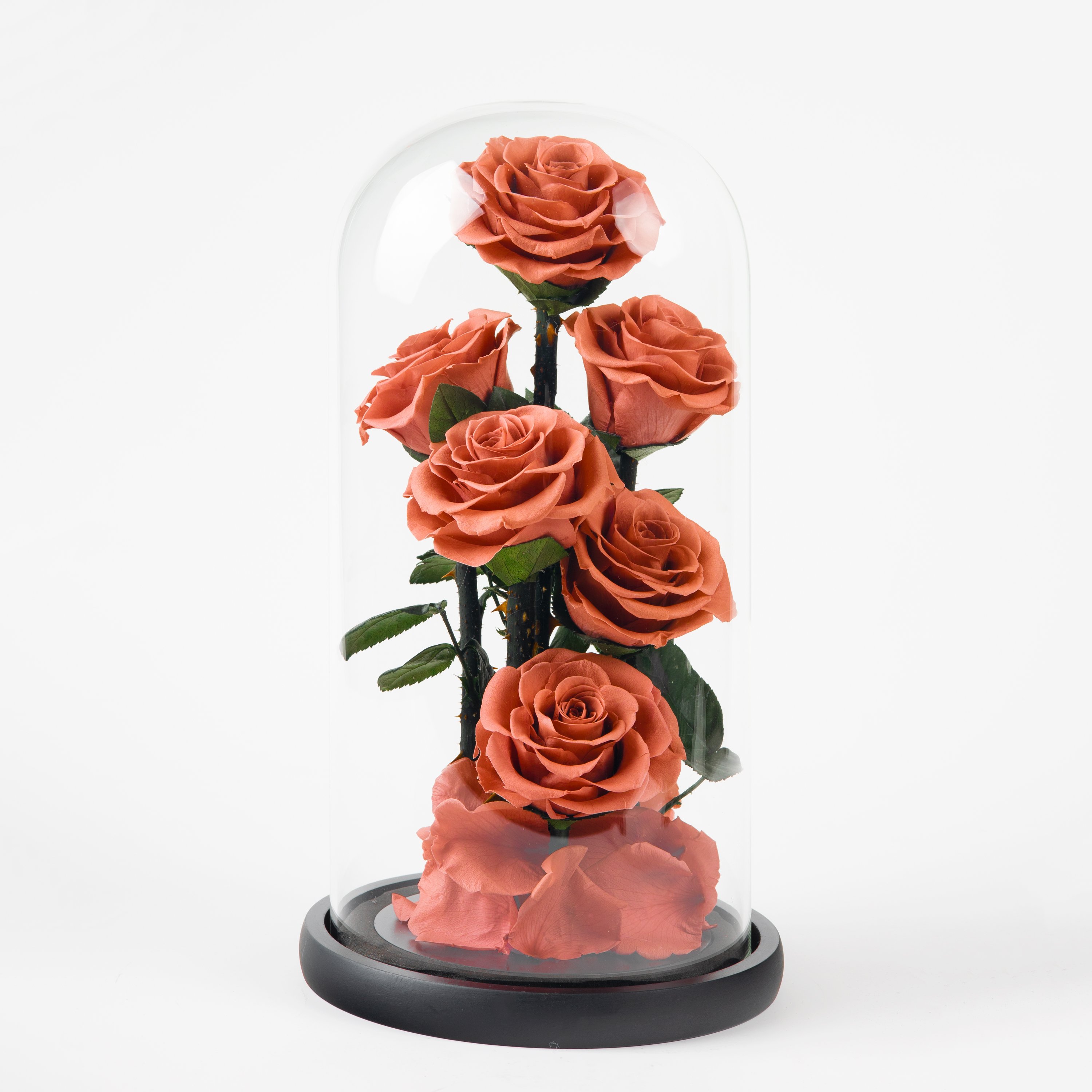 Everlasting Unchanging Six Roses Series Birthday Gift Wedding Anniversary Preserved Flowers Glass Dome Decoration