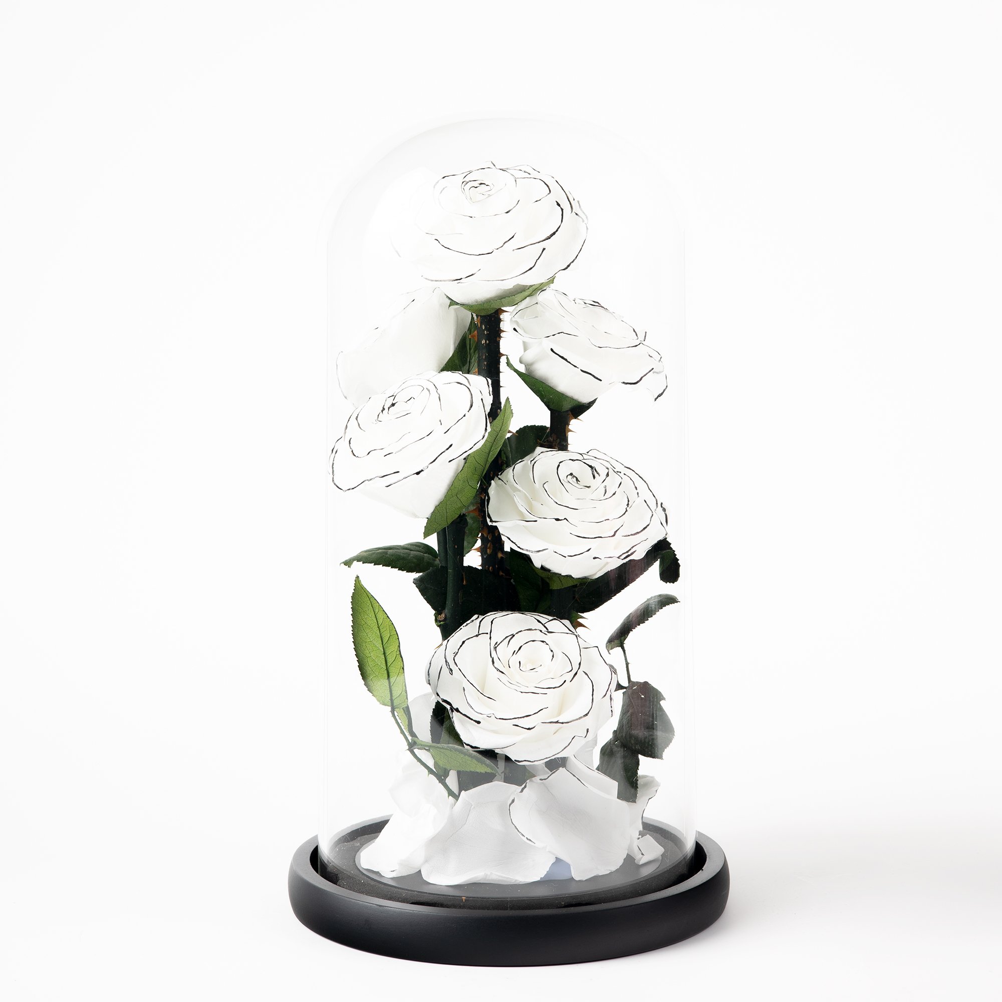 Everlasting Unchanging Six Roses Series Birthday Gift Wedding Anniversary Preserved Flowers Glass Dome Decoration
