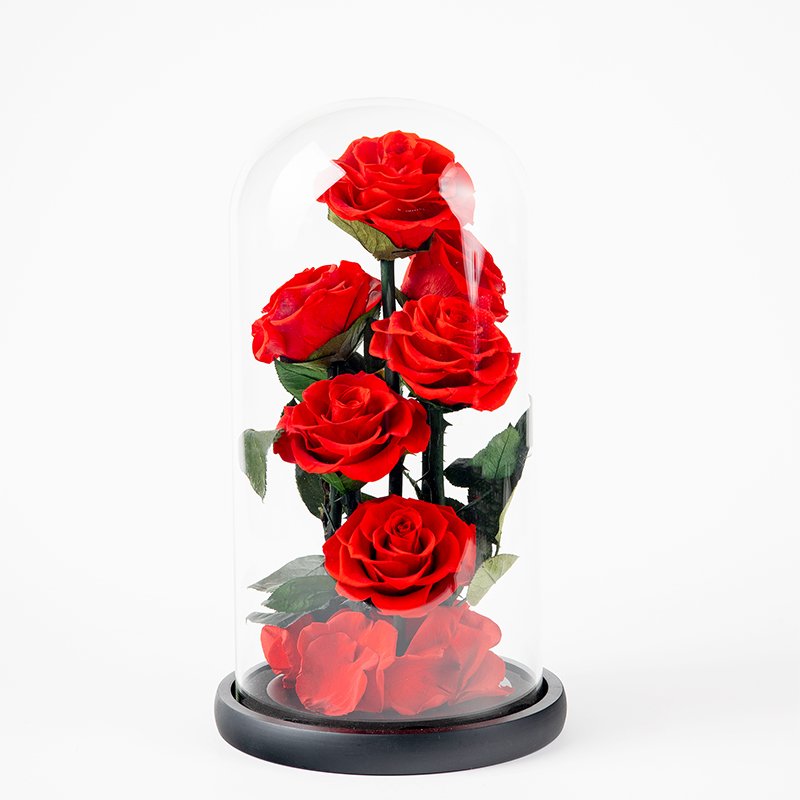 Everlasting Unchanging Six Roses Series Birthday Gift Wedding Anniversary Preserved Flowers Glass Dome Decoration