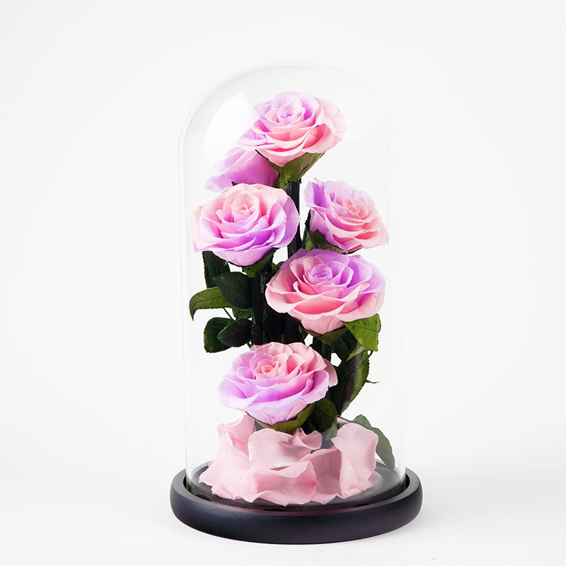Everlasting Unchanging Six Roses Series Birthday Gift Wedding Anniversary Preserved Flowers Glass Dome Decoration