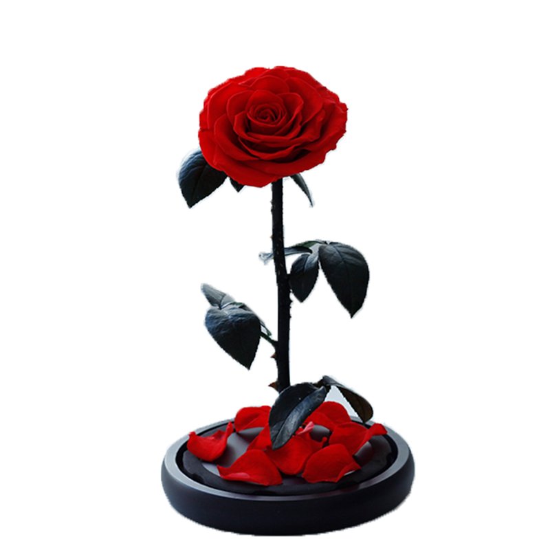 Christmas Valentine's Day Luxury Gifts Eternal Flowers Preserved Roses in glass dome