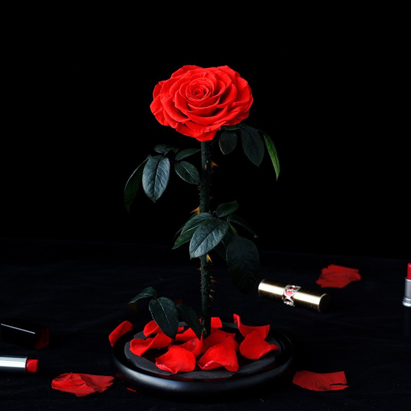 Christmas Valentine's Day Luxury Gifts Eternal Flowers Preserved Roses in glass dome