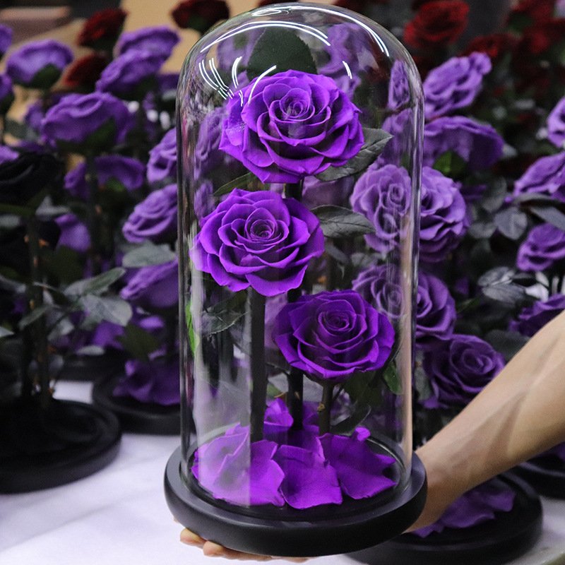 Natural Rose Mothers Day Gift Decor Everlasting Flowers Forever Eternal Rose Preserved Flower in Glass Dome Led
