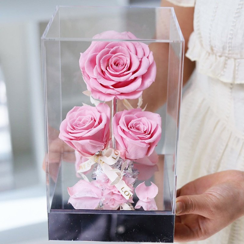 TC Wholesale Custom Logo Red Eternal Forever Rose Gift Packaging Acrylic Flower Box Valentines Gifts 3pcs Preserved Roses
