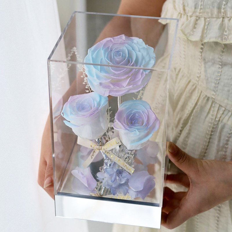 TC Wholesale Custom Logo Red Eternal Forever Rose Gift Packaging Acrylic Flower Box Valentines Gifts 3pcs Preserved Roses
