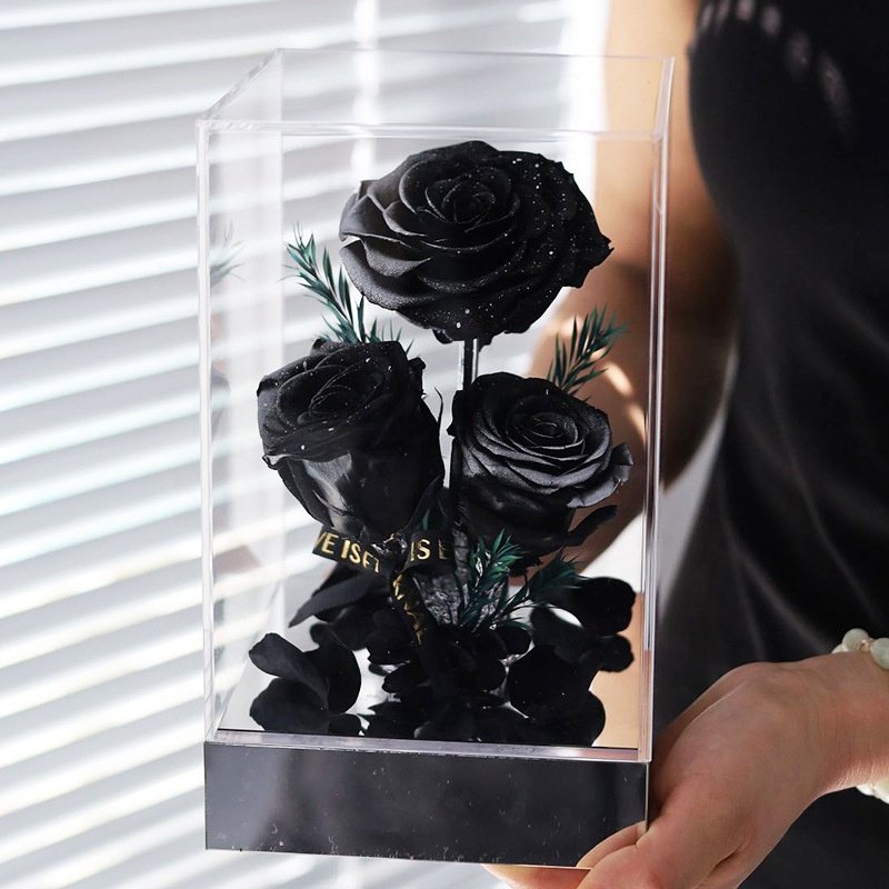 TC Wholesale Custom Logo Red Eternal Forever Rose Gift Packaging Acrylic Flower Box Valentines Gifts 3pcs Preserved Roses