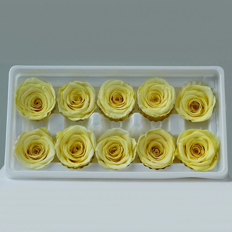 Wholesale high quality 4cm Rose Heads preserve big roses Preserved Flowers for box