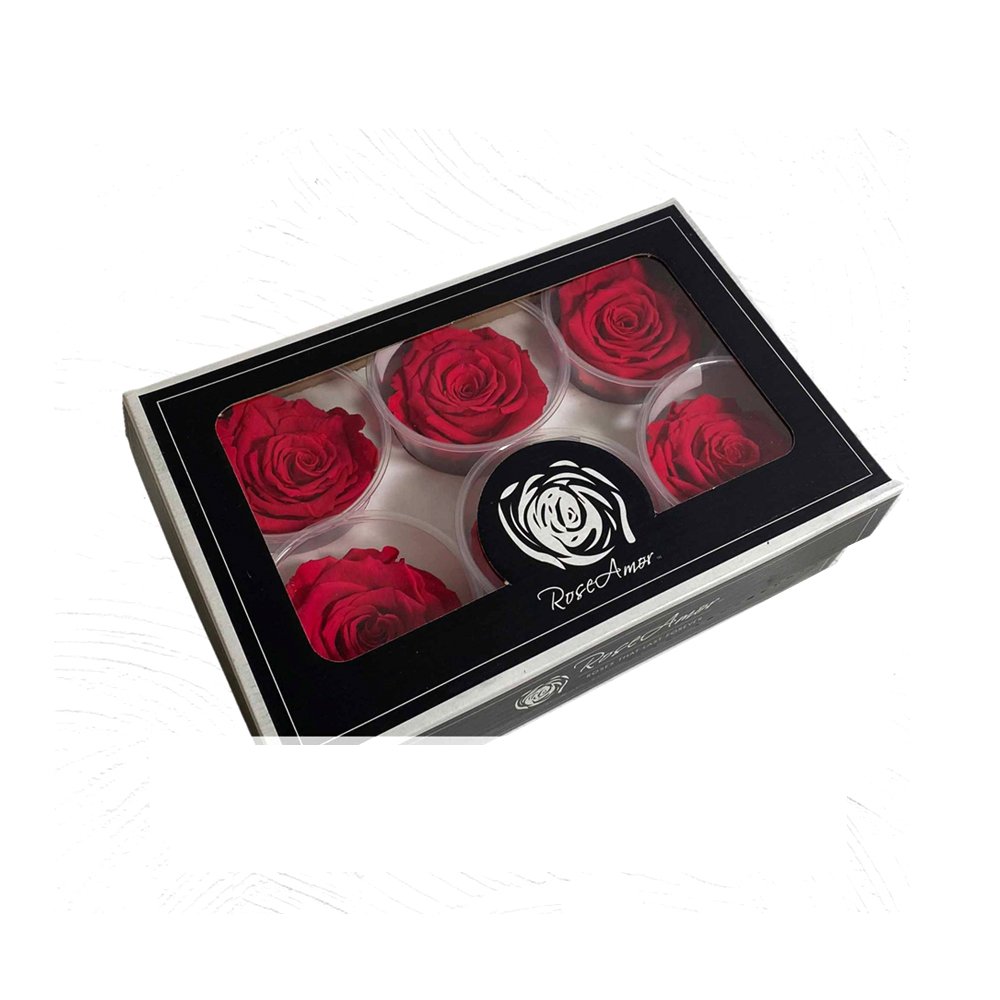 Top Grade Luxury Stabilized Pink Rose Beautiful Natural Rose For Anniversary Wedding Decoration