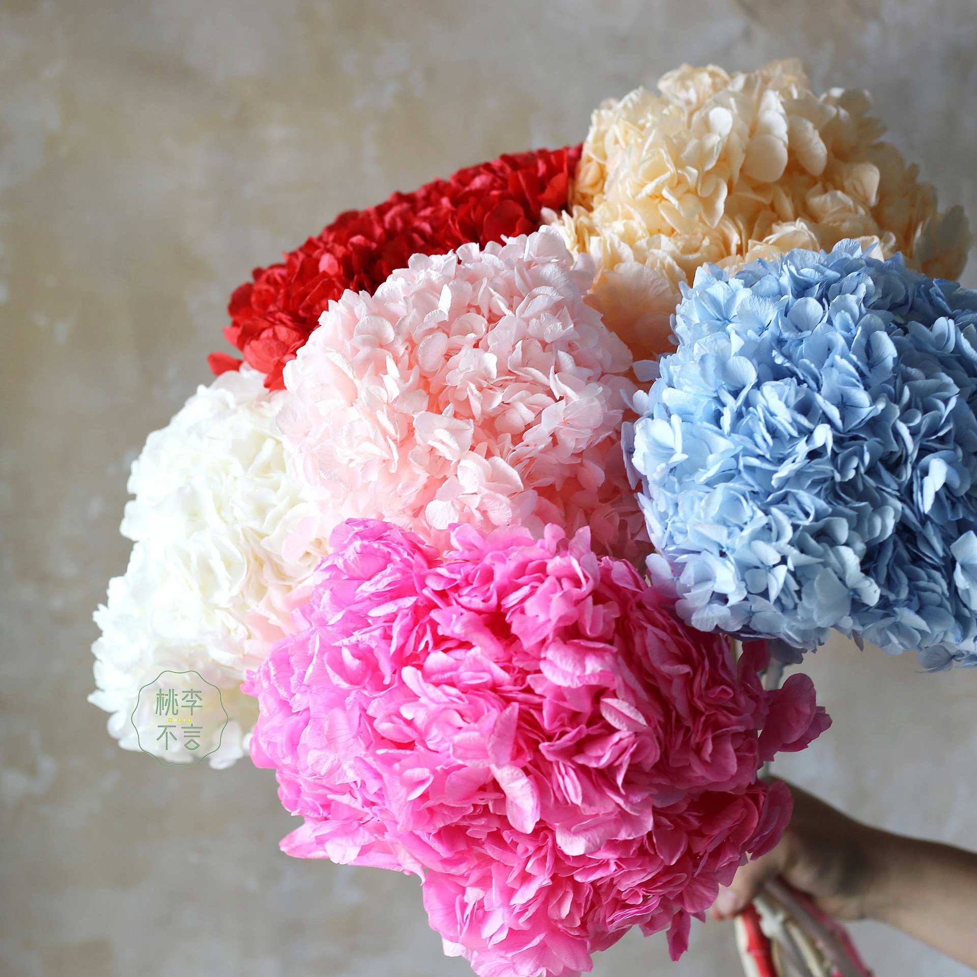 DIY Material Preserved Big Leaf & Tower & Anna Hydrangeas with Stem Preserved Hydrangea for Wedding Decoration
