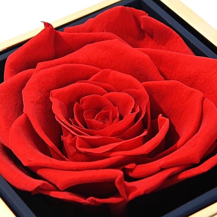 Trending products 2023 new arrivals rose preserved flowers jewelry rotating rose box