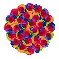 rainbow