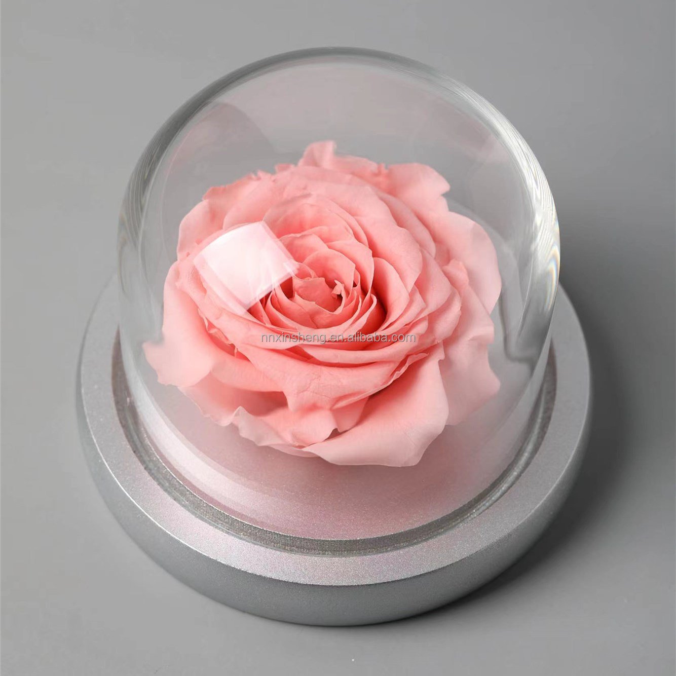 Mother's Day Gift Box Love Gift Carnation Preserved Flower Glass Rose Dome Glass Rose Enchanted Rose Glass Wedding Gift Souvenir
