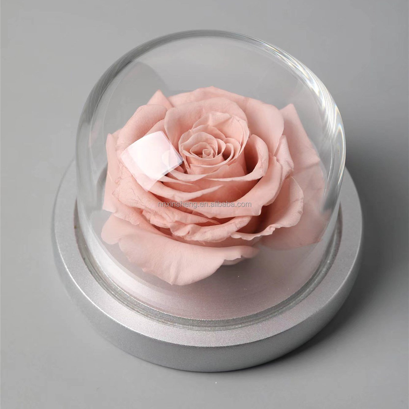 Mother's Day Gift Box Love Gift Carnation Preserved Flower Glass Rose Dome Glass Rose Enchanted Rose Glass Wedding Gift Souvenir