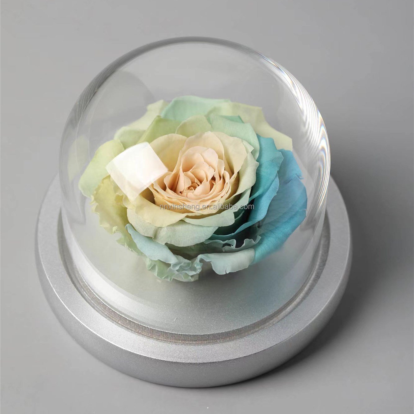 Mother's Day Gift Box Love Gift Carnation Preserved Flower Glass Rose Dome Glass Rose Enchanted Rose Glass Wedding Gift Souvenir