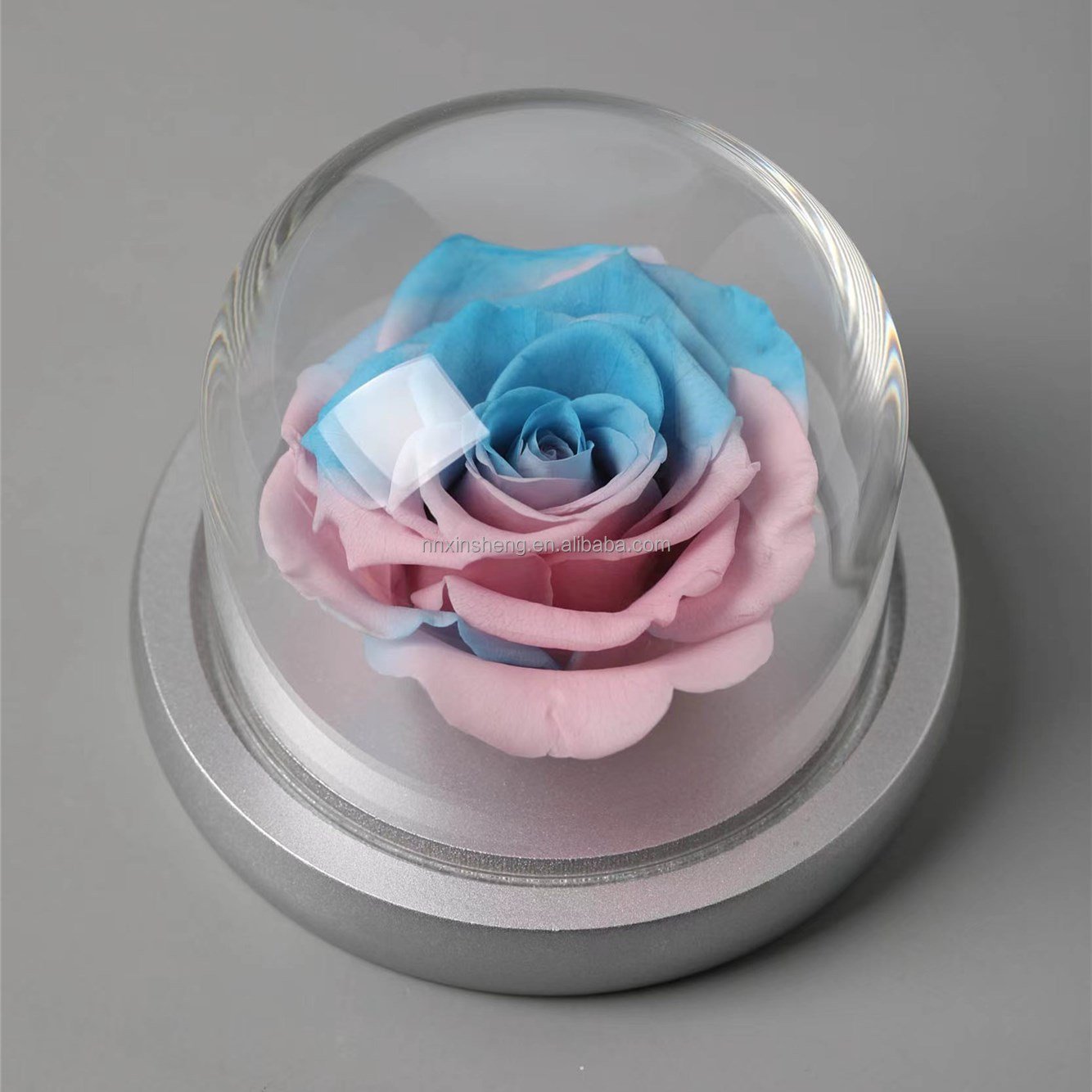 Mother's Day Gift Box Love Gift Carnation Preserved Flower Glass Rose Dome Glass Rose Enchanted Rose Glass Wedding Gift Souvenir