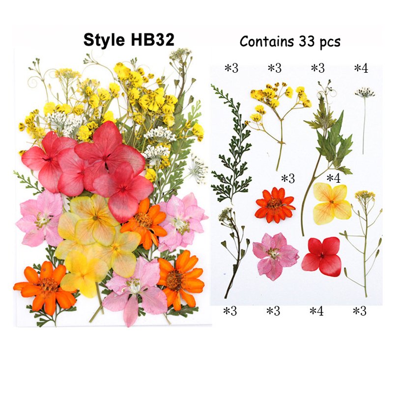 Fashion Colorful Pressed Natural Preserved Real Touch Flowers And Plants Box Packed Wholesale