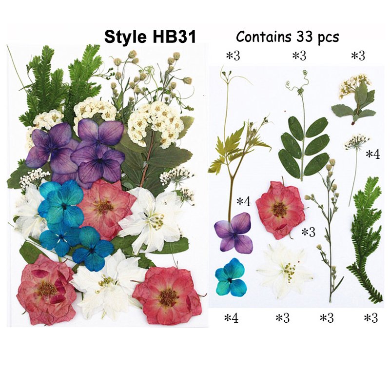 Fashion Colorful Pressed Natural Preserved Real Touch Flowers And Plants Box Packed Wholesale