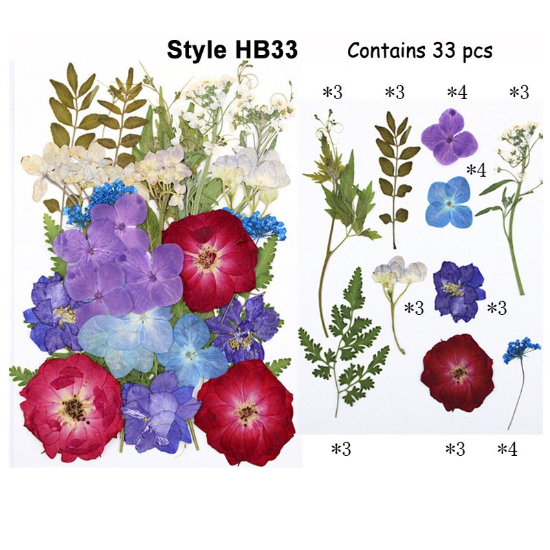 Fashion Colorful Pressed Natural Preserved Real Touch Flowers And Plants Box Packed Wholesale