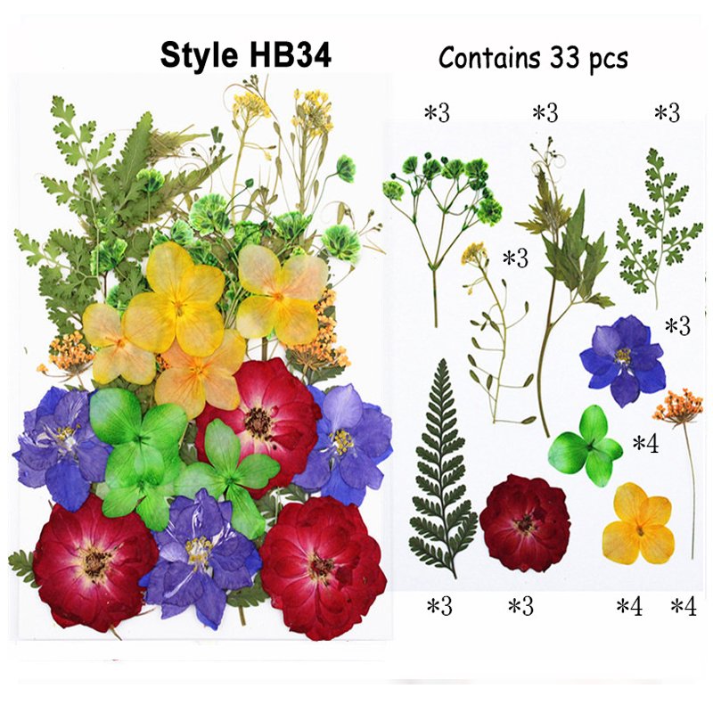Fashion Colorful Pressed Natural Preserved Real Touch Flowers And Plants Box Packed Wholesale