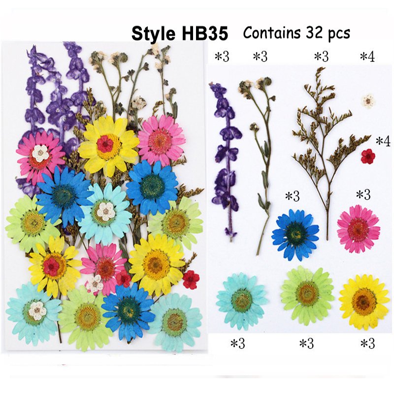 Fashion Colorful Pressed Natural Preserved Real Touch Flowers And Plants Box Packed Wholesale