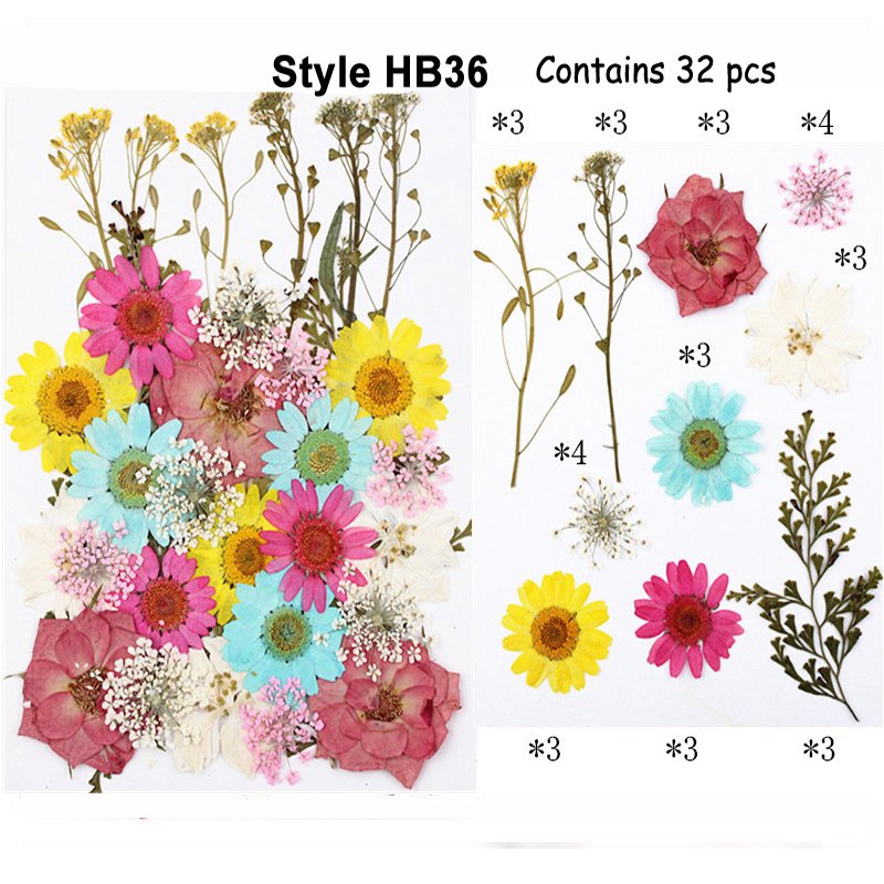 Fashion Colorful Pressed Natural Preserved Real Touch Flowers And Plants Box Packed Wholesale
