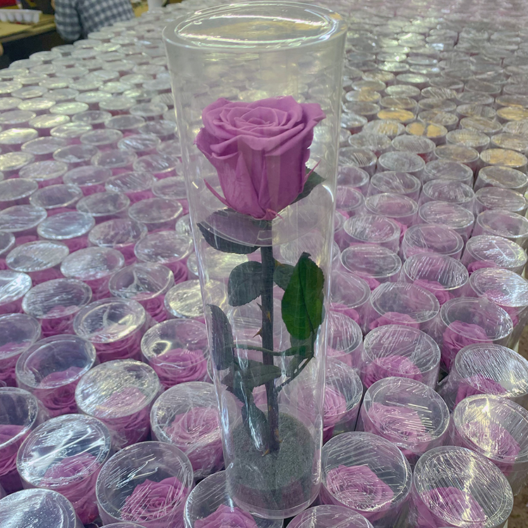 Yunnan China Preserved Flower Wholesale Caijun Preserved Rose Forever In Pvc Box Infinity Roses With Stem Long Eternal Roses