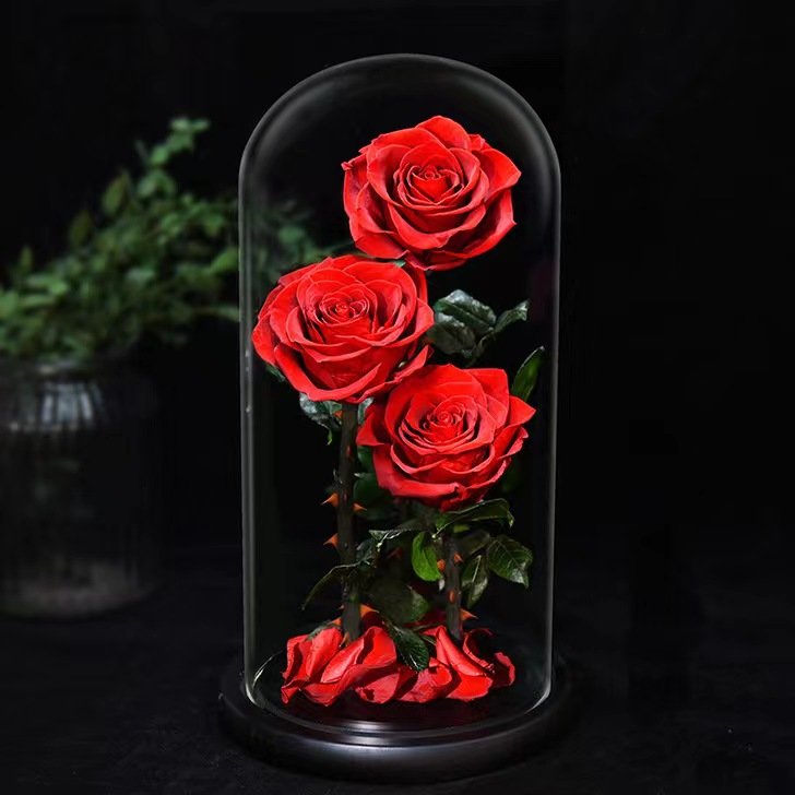 BLH Wholesales Natural Preserved Rose Eternal Flower in Glass Dome best gift for lover girlfriend mom Best gift