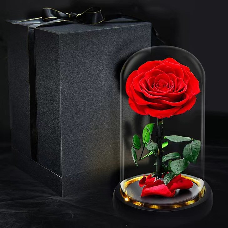 BLH Wholesales Natural Preserved Rose Eternal Flower in Glass Dome best gift for lover girlfriend mom Best gift