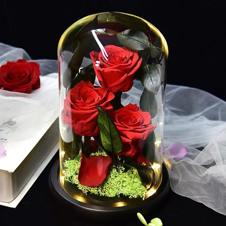BLH Wholesales Natural Preserved Rose Eternal Flower in Glass Dome best gift for lover girlfriend mom Best gift