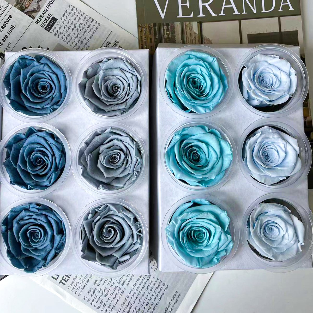 Factory Direct Floral Supplies Natural Green Eternal Forever Preserved Flower Roses Immortal 5-6 Cm Rose Bud Preserved Roses