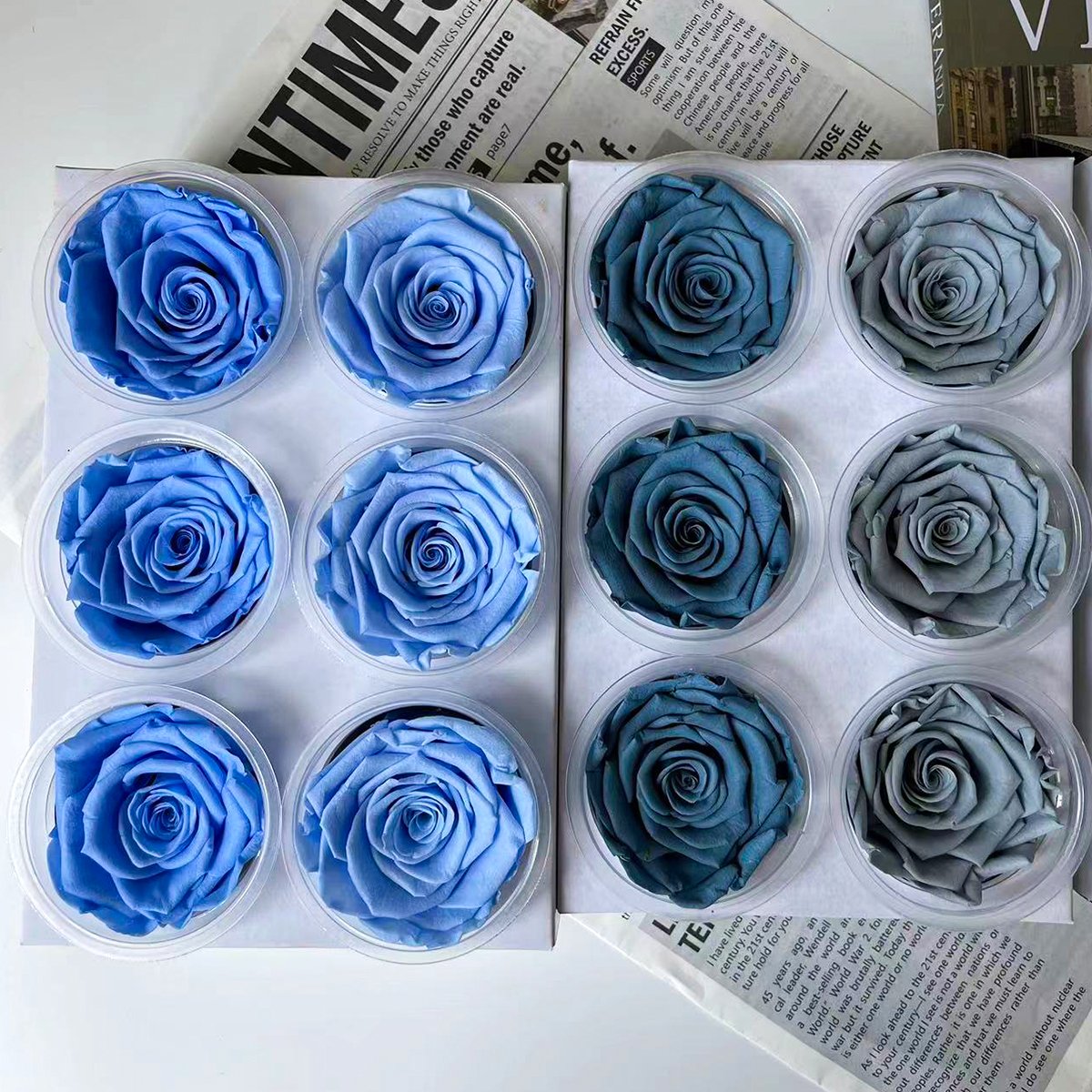 Factory Direct Floral Supplies Natural Green Eternal Forever Preserved Flower Roses Immortal 5-6 Cm Rose Bud Preserved Roses